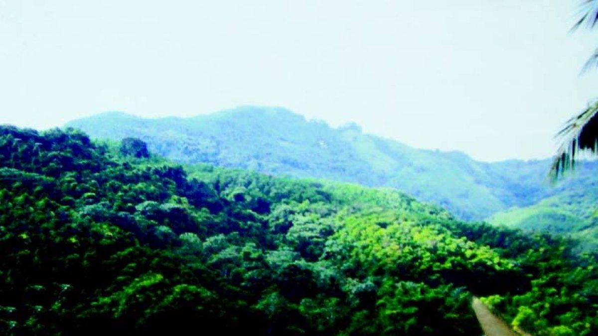 Reaccionan en redes sociales tras no promulgación ley Loma Miranda parque nacional