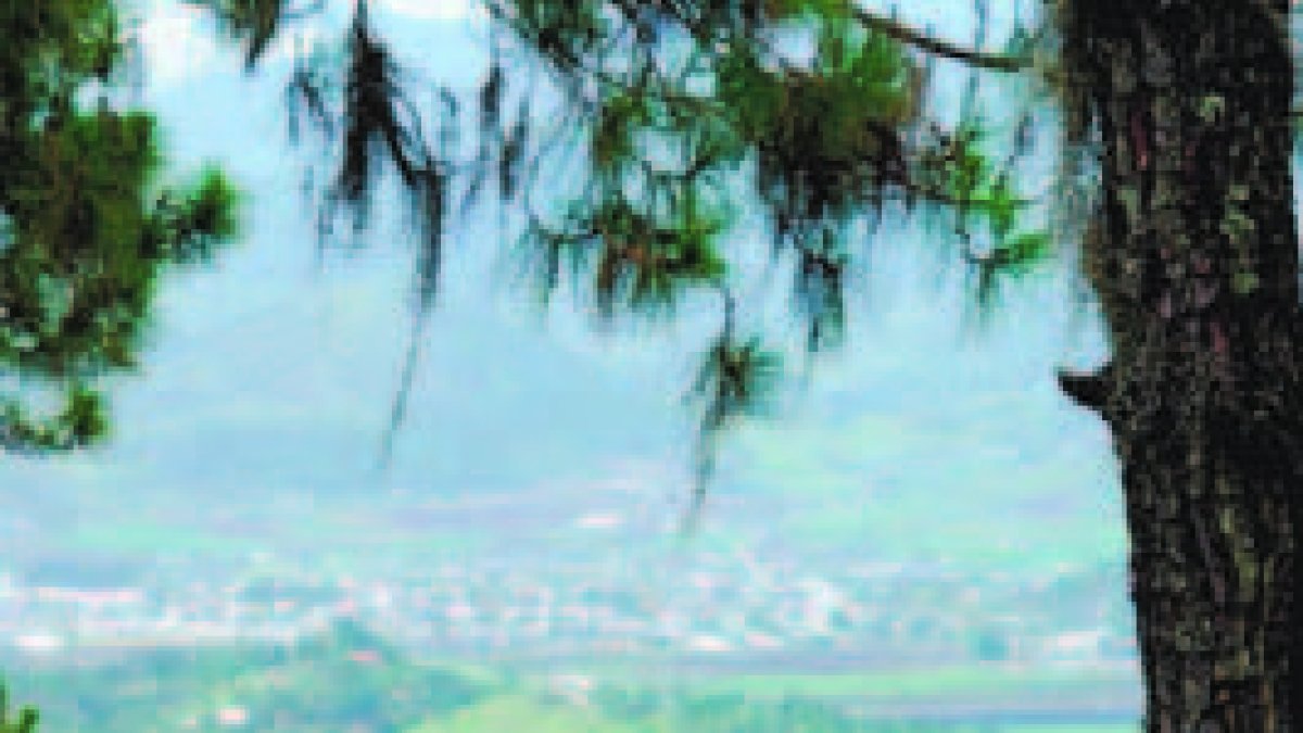 15_12_2015 HOY_MARTES_151215_ Economía3 E