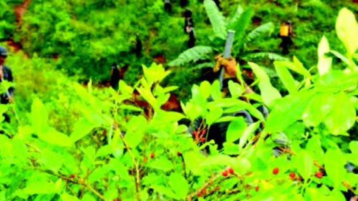 04_03_2015 HOY_MIERCOLES_040315_ ¡Vivir!6 C