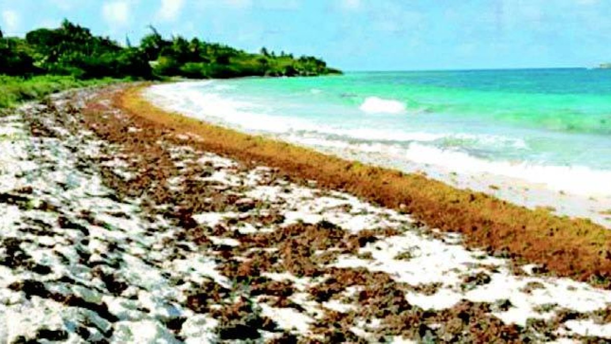 06_10_2015 HOY_MARTES_061015_ Economía1 E