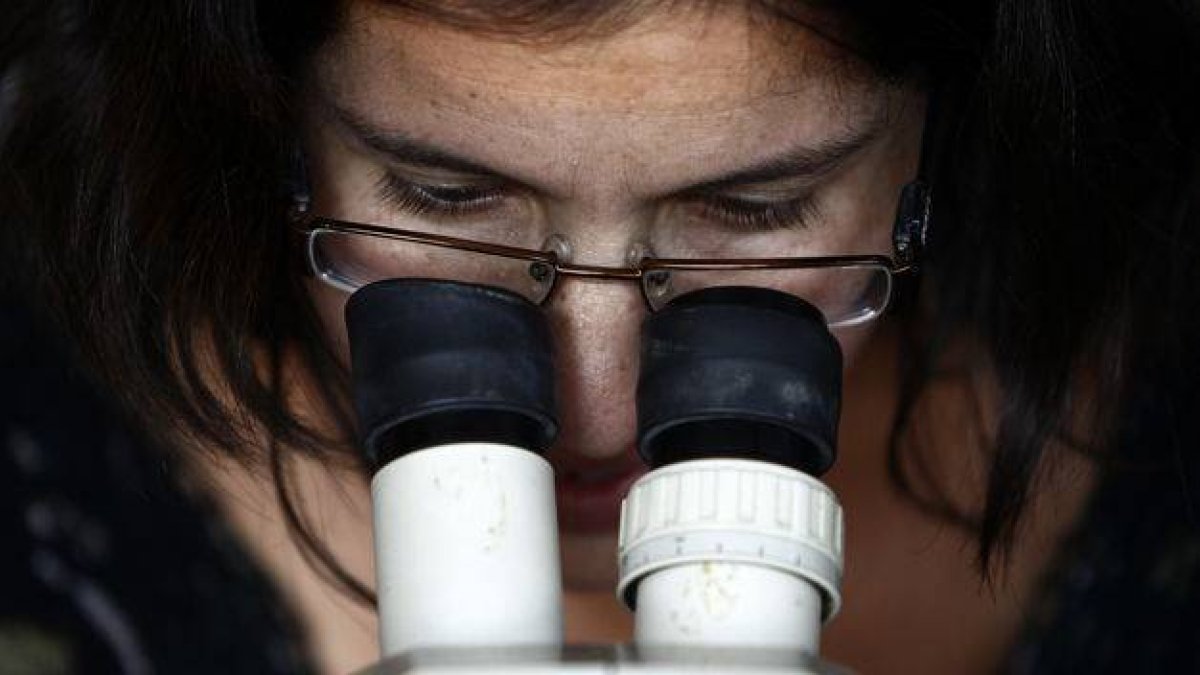 Hallan-mutacion-genetica-VIH-organismo_TINIMA20160811_0082_5