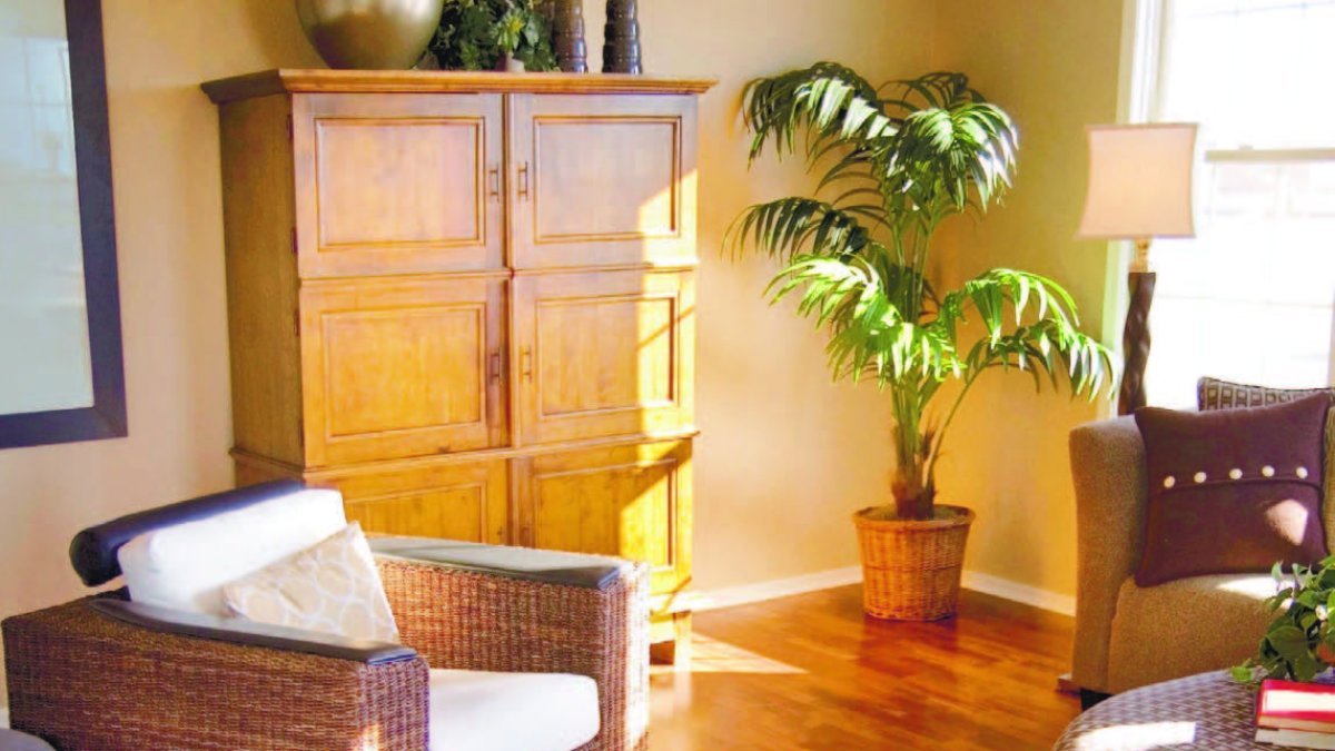 24_08_2016 HOY_MIERCOLES_240816_ ¡Vivir!1 C