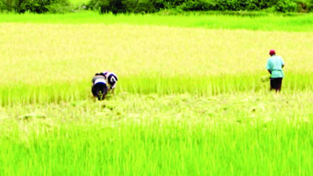 09_08_2016 HOY_MARTES_090816_ Economía4 E