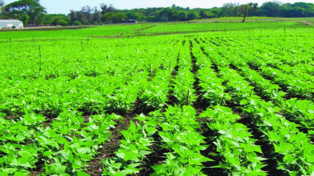 17_06_2016 HOY_VIERNES_170616_ Economía5 E