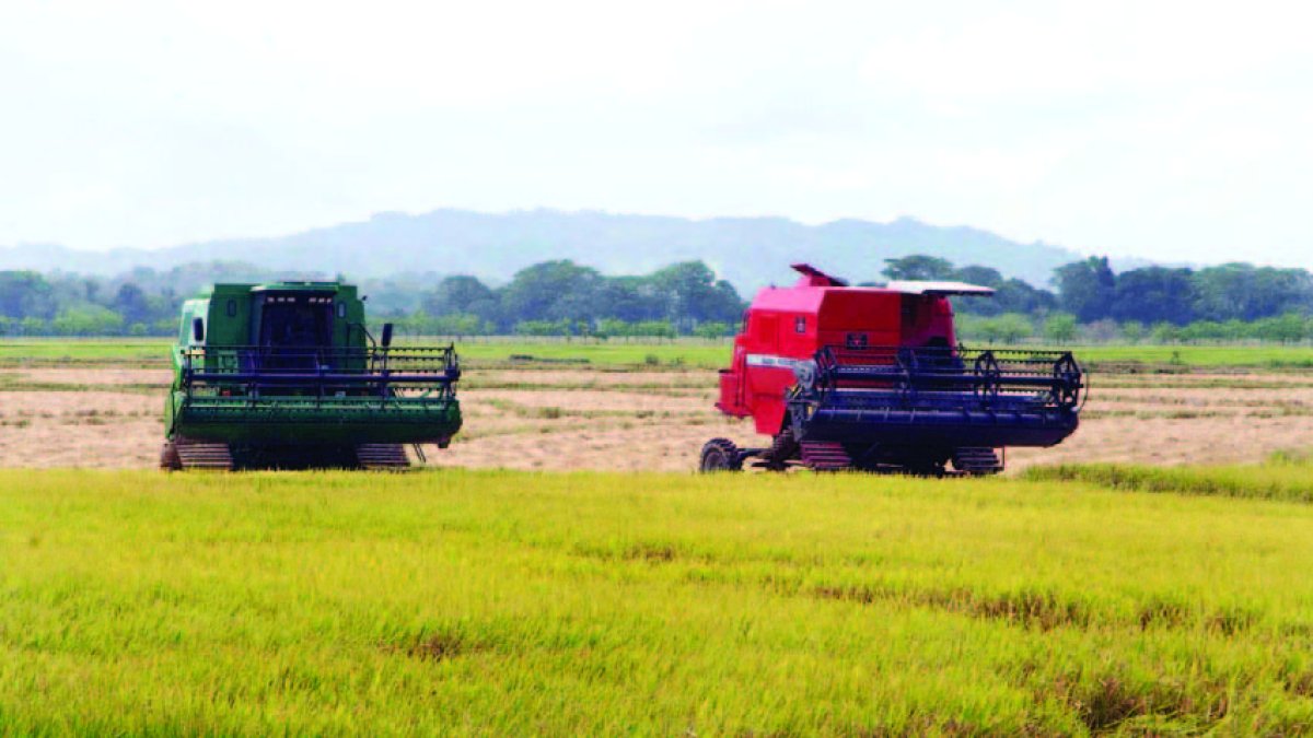 19_02_2016 HOY_VIERNES_190216_ Economía5 E