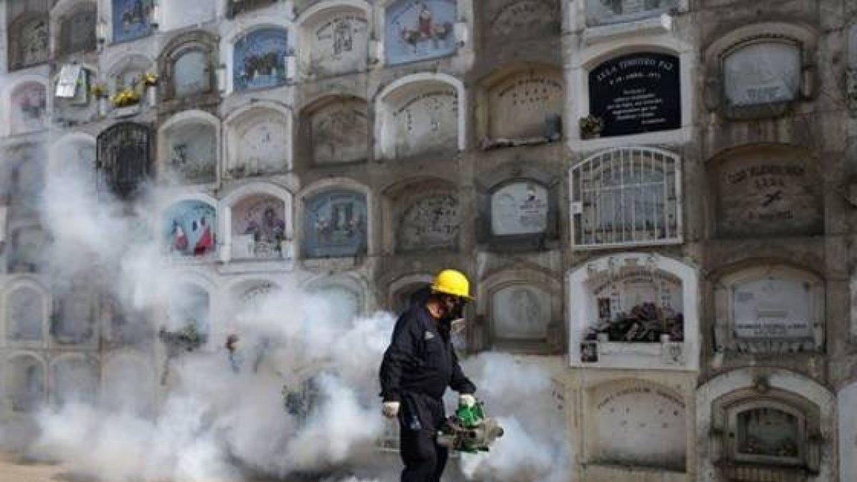 Fumigan en Mexico 4s