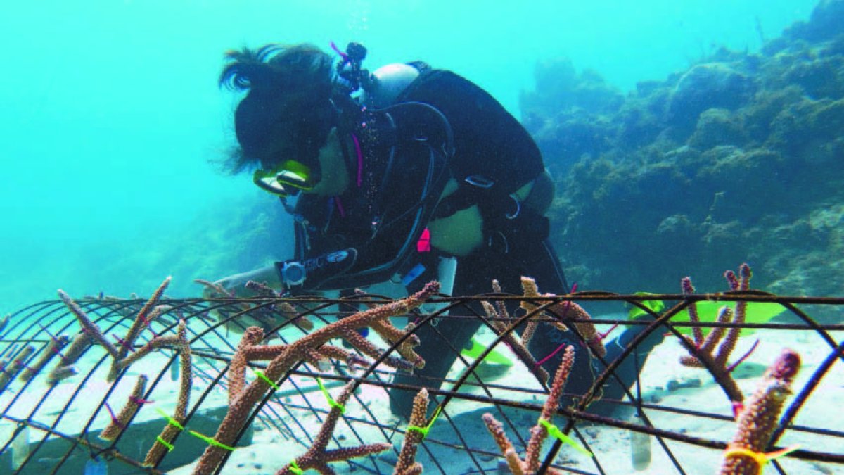 22_02_2016 HOY_LUNES_220216_ Economía4 E