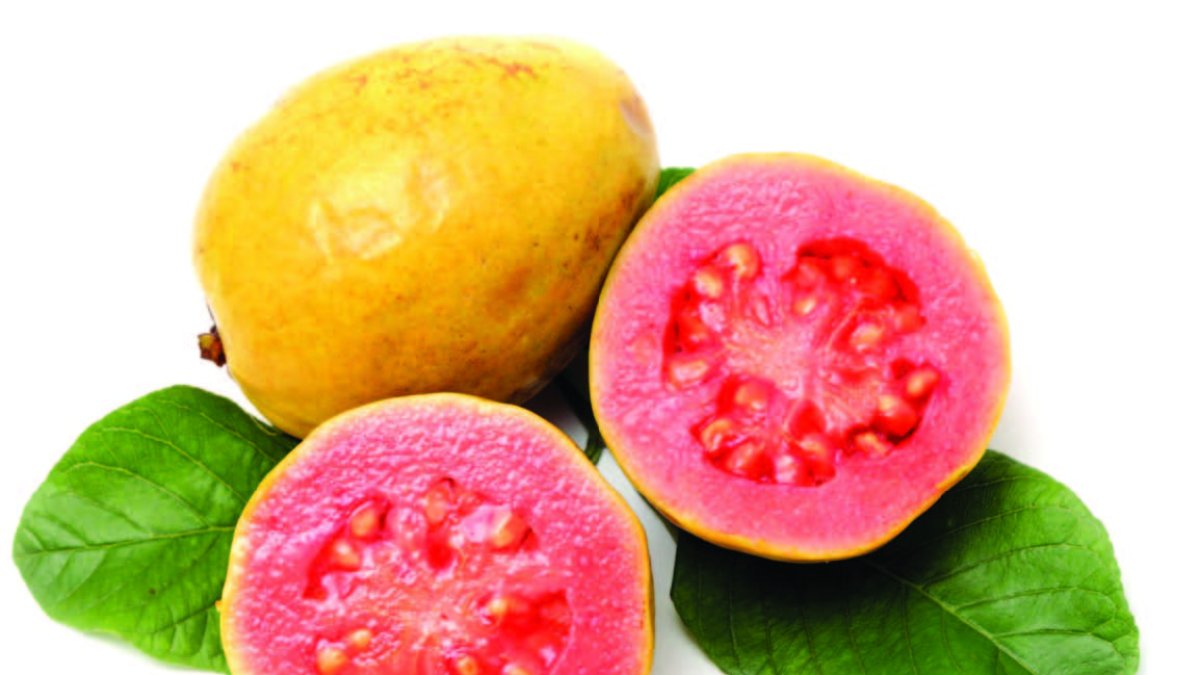 El sabor y olor de la guayana