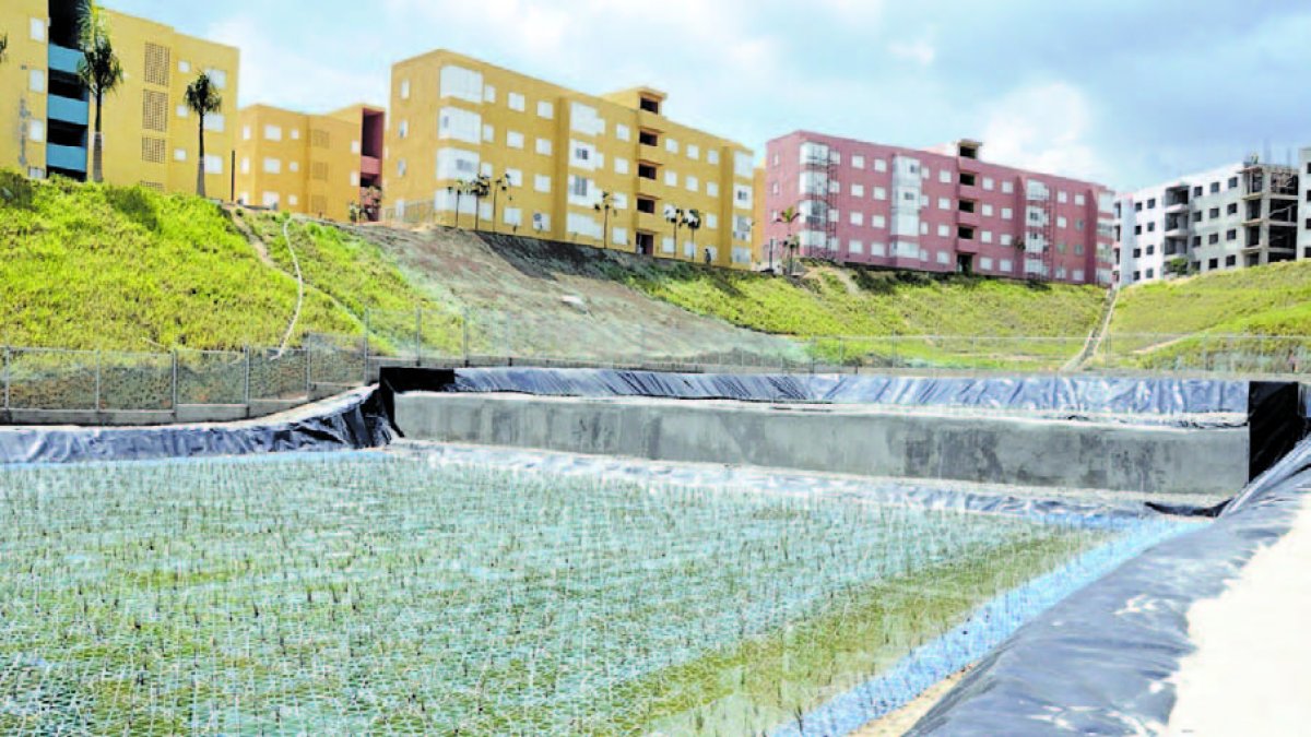 06_03_2016 HOY_DOMINGO_060316_ El País11 A