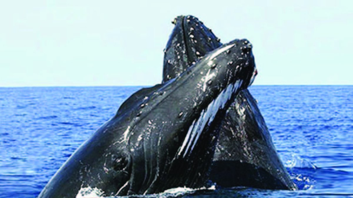 22_01_2016 HOY_VIERNES_220116_ Economía2 E