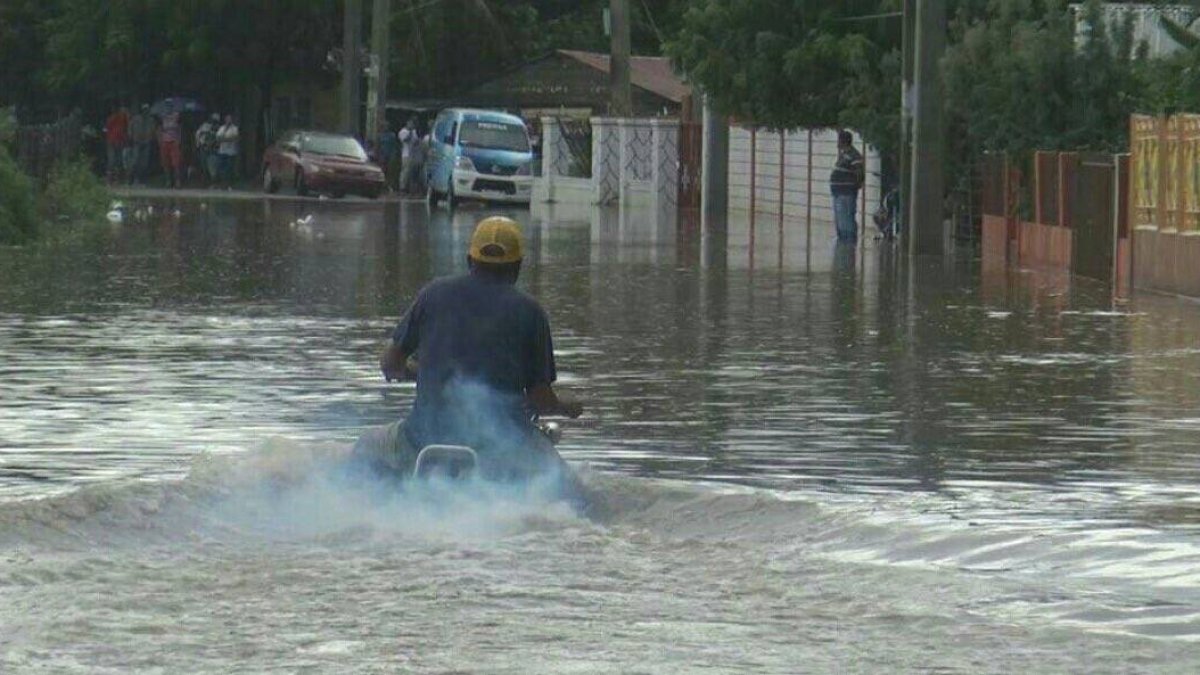 Flanklin, recomendaciones.