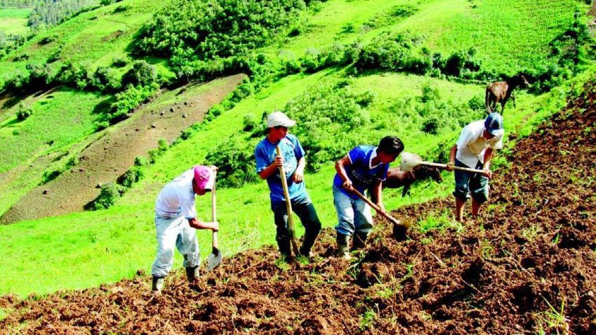 04_08_2016 HOY_JUEVES_040816_ Economía1 E