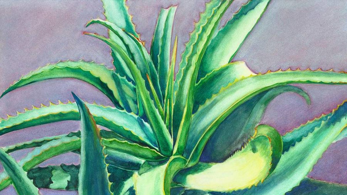 Imagen de la artista Linda Ruiz.