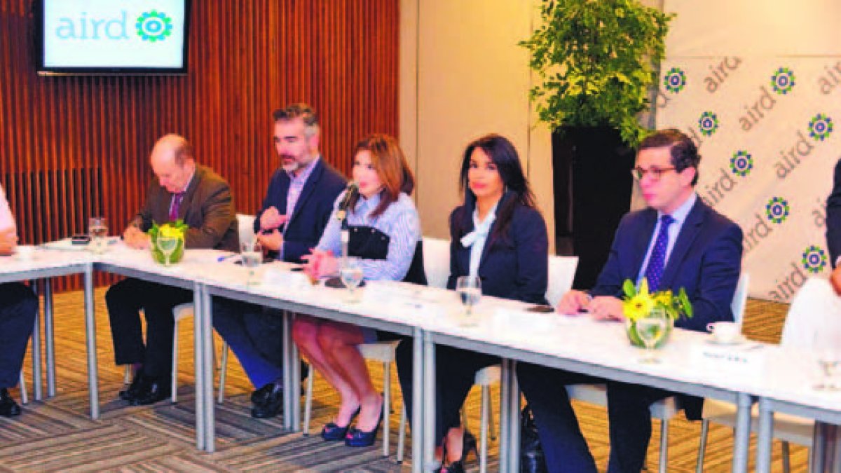 Encuentro entre la AIRD y la directora del Intrant, Claudia Franchesca