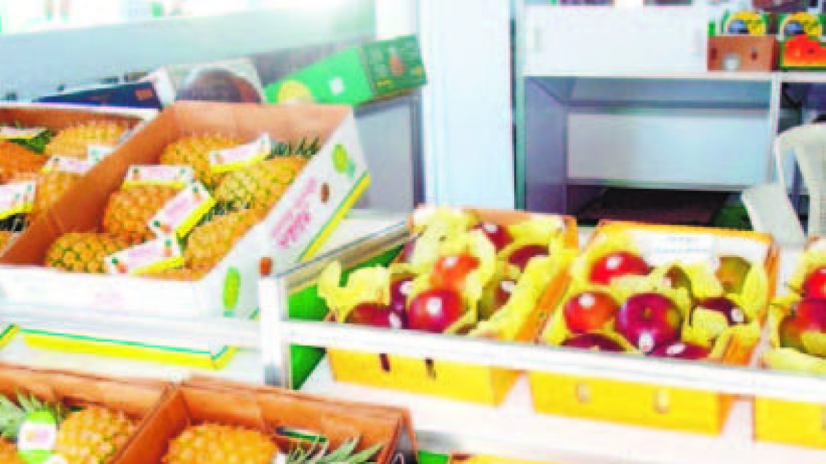 El país tiene todas las condiciones para aumentar la producción de frutas tropicales para exportación.