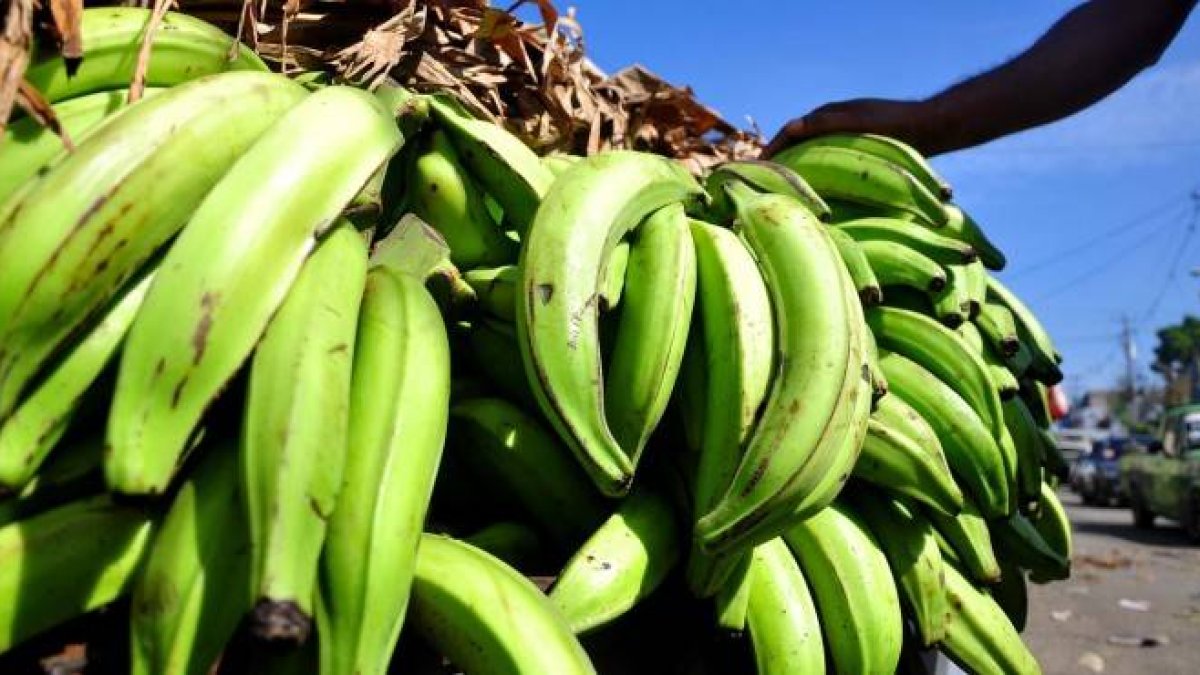 Imagen de referencia. Fuente externa.