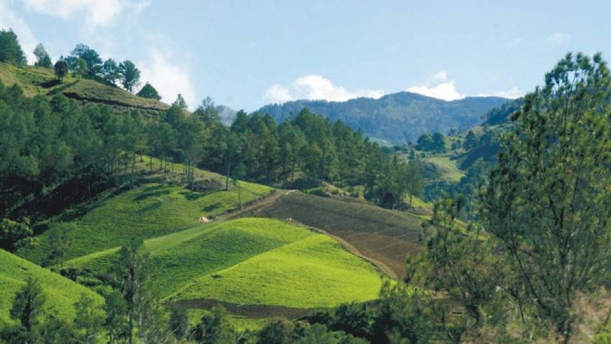 Imagen de referencia