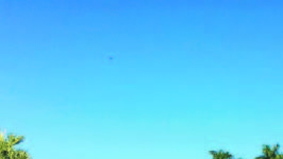 Equipo organizador del torneo