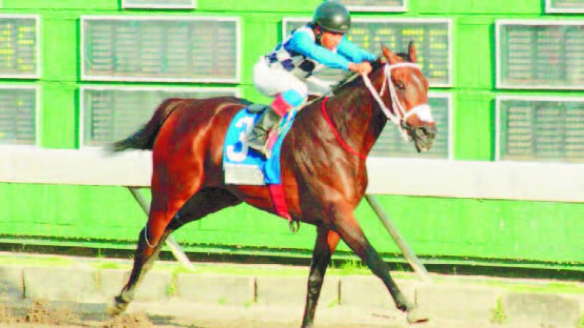 Inmenso, triple coronado en el año 2017, reaparecerá este sábado.