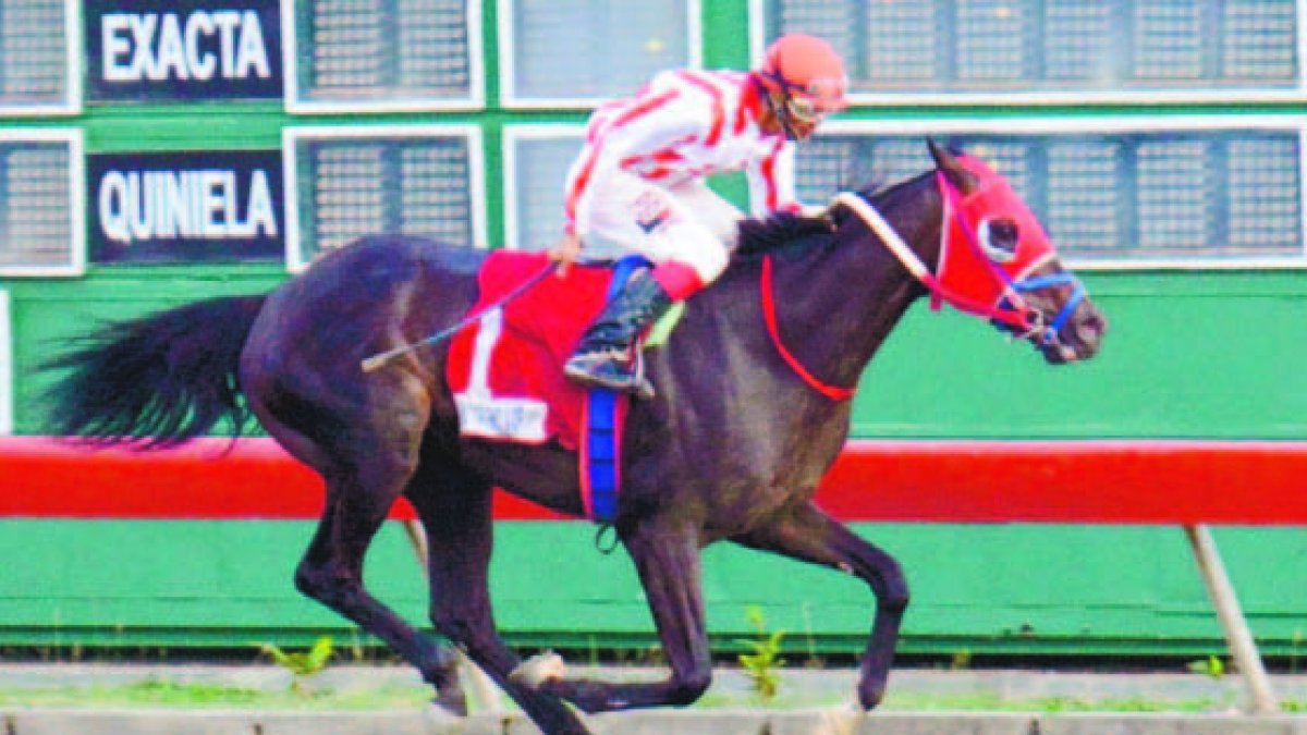 Song And Visión gana la estelar en la jornada