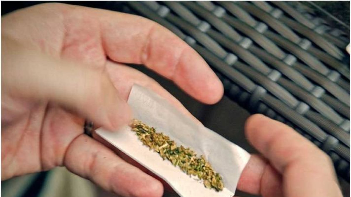 Dominicanos NY opuestos regularicen uso marihuana para adultos