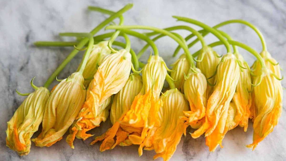 2C_¡Vivir!_17_1,p01