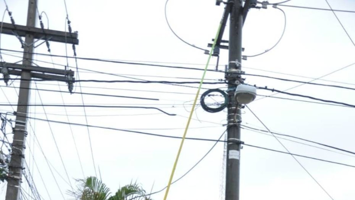 3D_Economía_11_3,p01