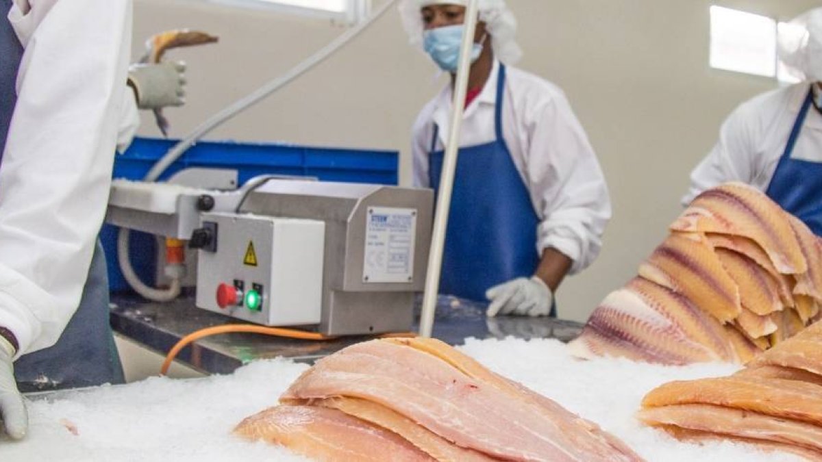 2D_Economía_13_2,p01