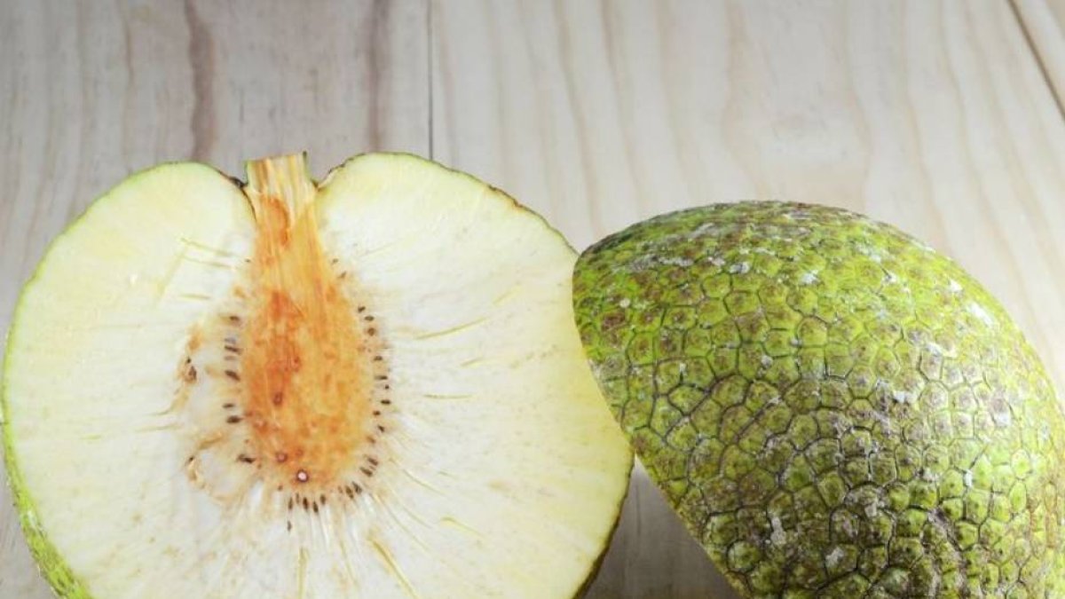 2C_¡Vivir!_28_2,p01