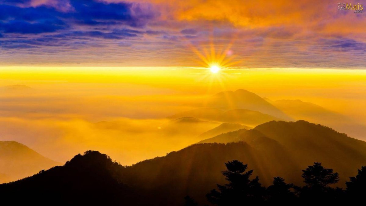 Los cuatro enemigos del amor