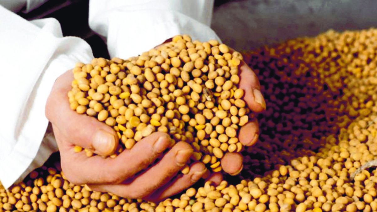 6D_Economía_25_2,p01