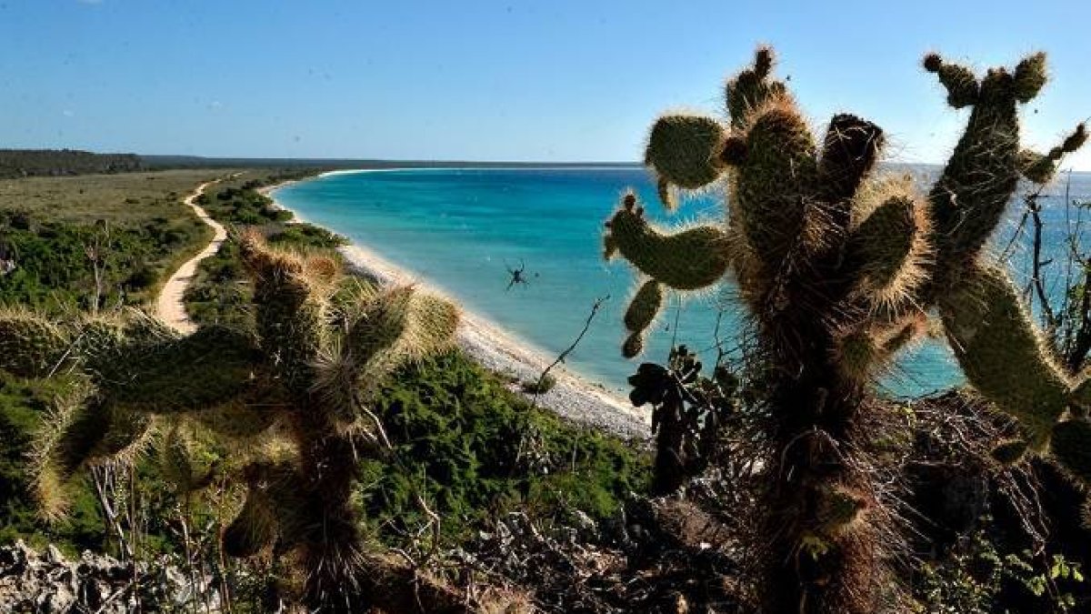 Terreno Bahía de las Águilas