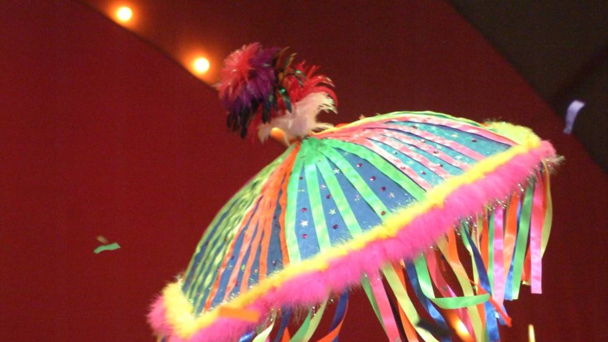 carnaval. fotos para la seccion vivir. fotos enviadas en d.c.
