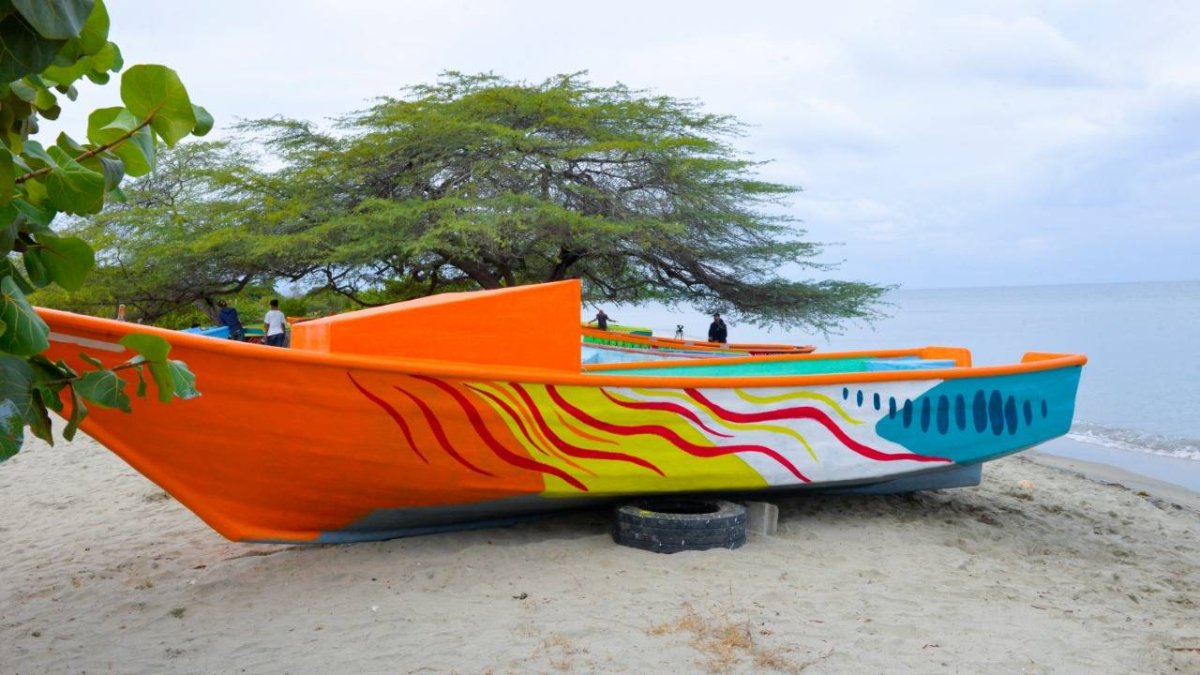 WhatsApp Image 2019-02-11 at 11.54.15 AM (1)