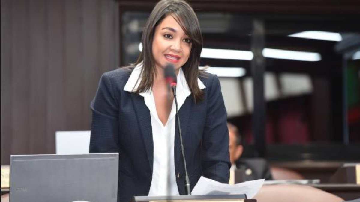 Diputada Faride Raful/Fuente externa.