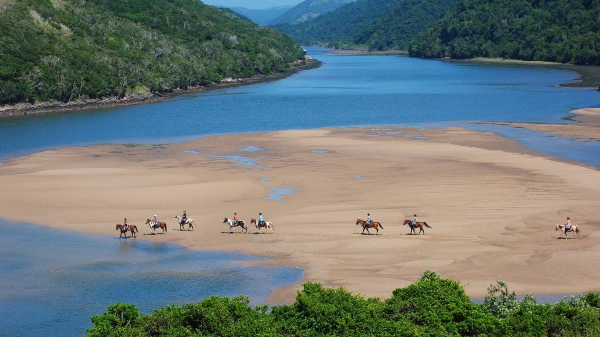 1C_¡Vivir!_04_1,p02