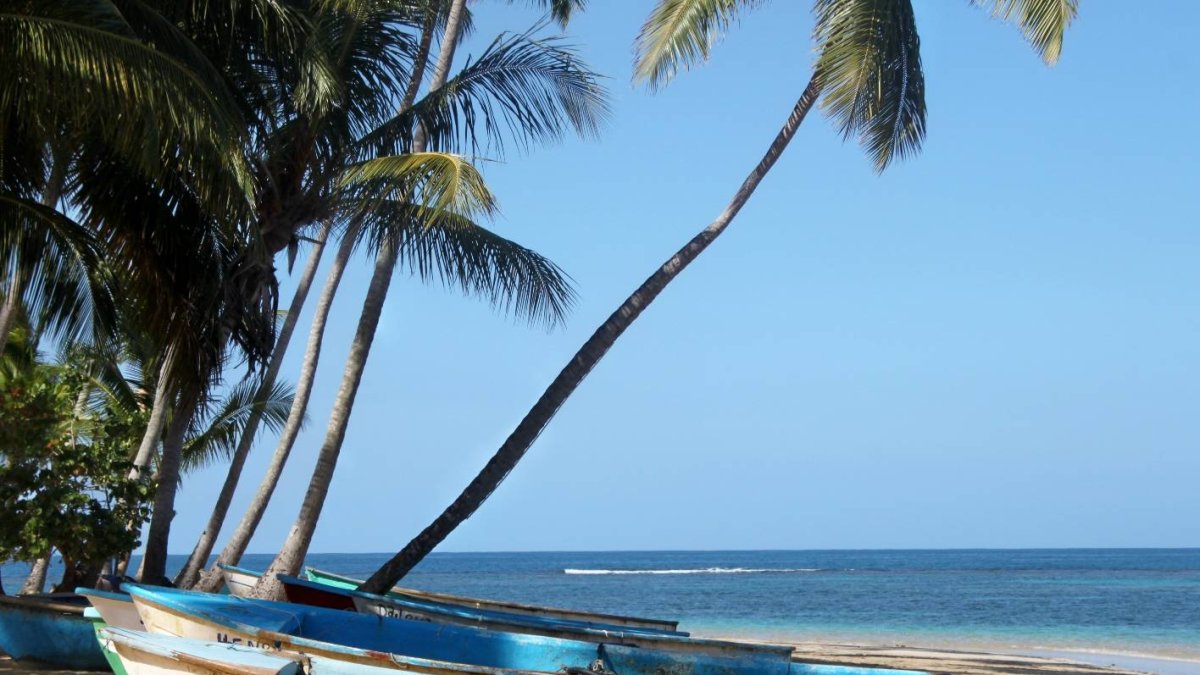 3D_Economía_01_1Ok,p01