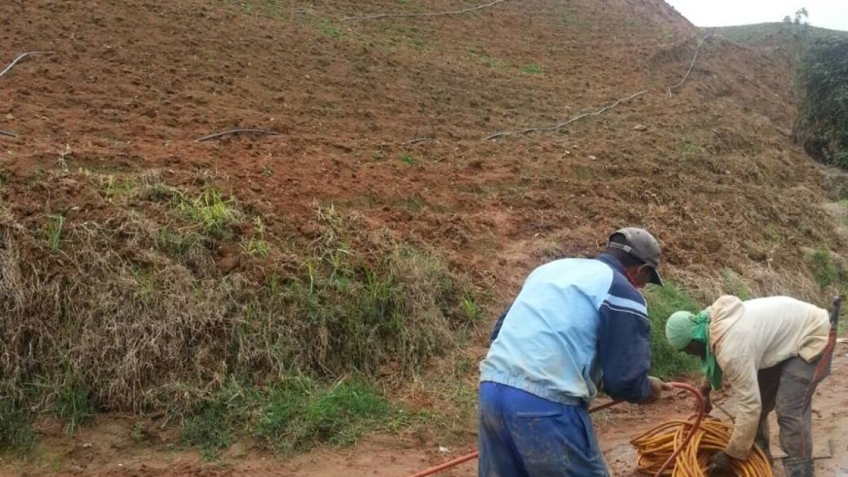 8D_El País_28_1,p01