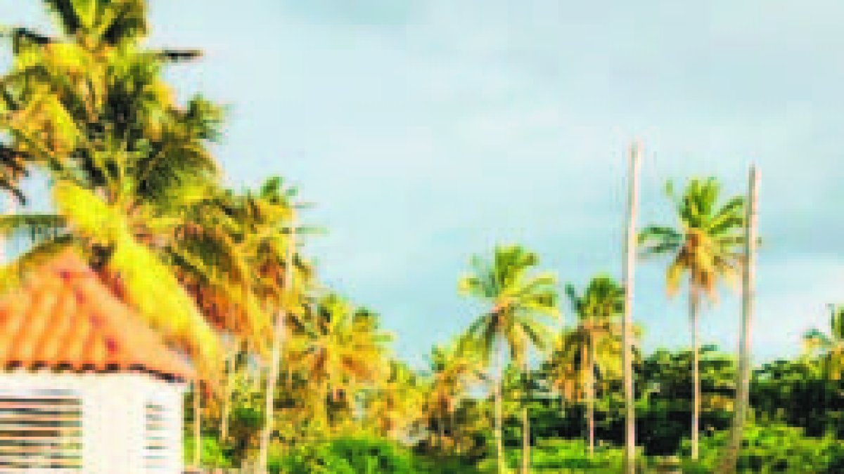 18_09_2019 HOY_MIERCOLES_180919_ El País7 D