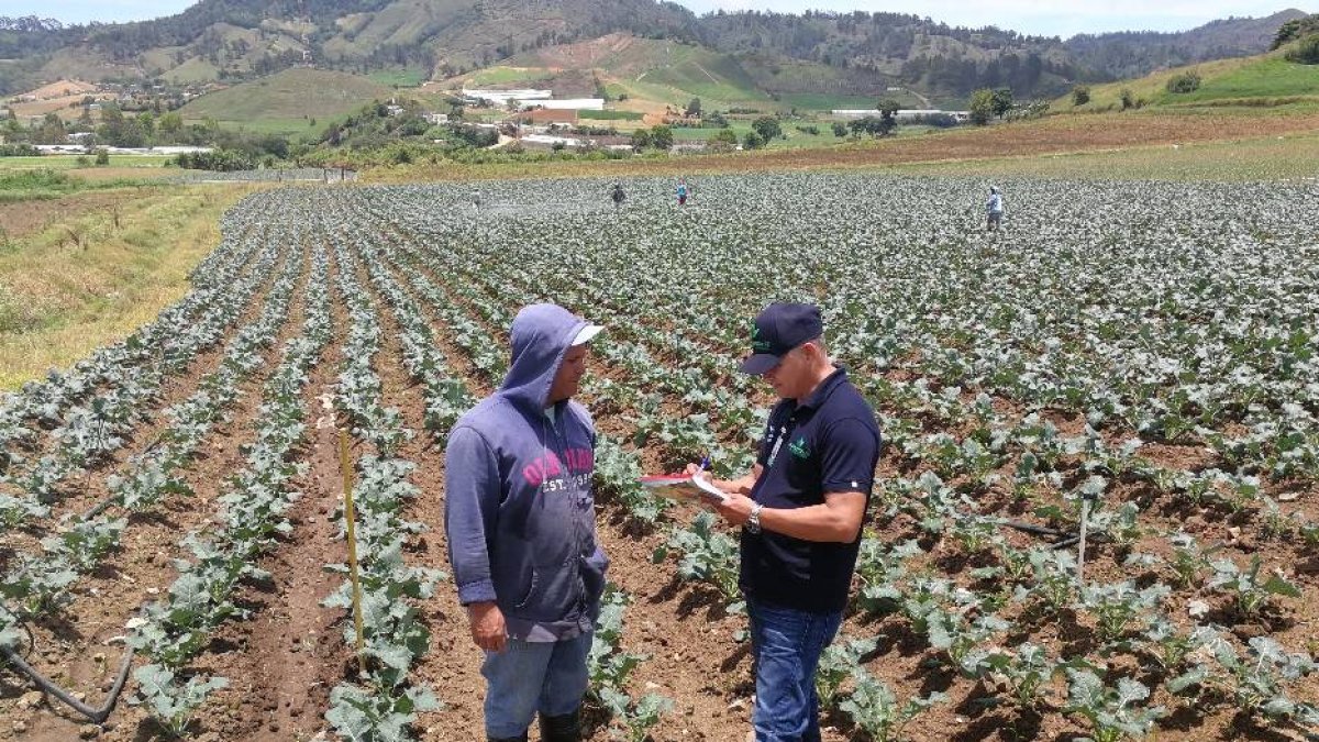 8D_El País_28_2,p01