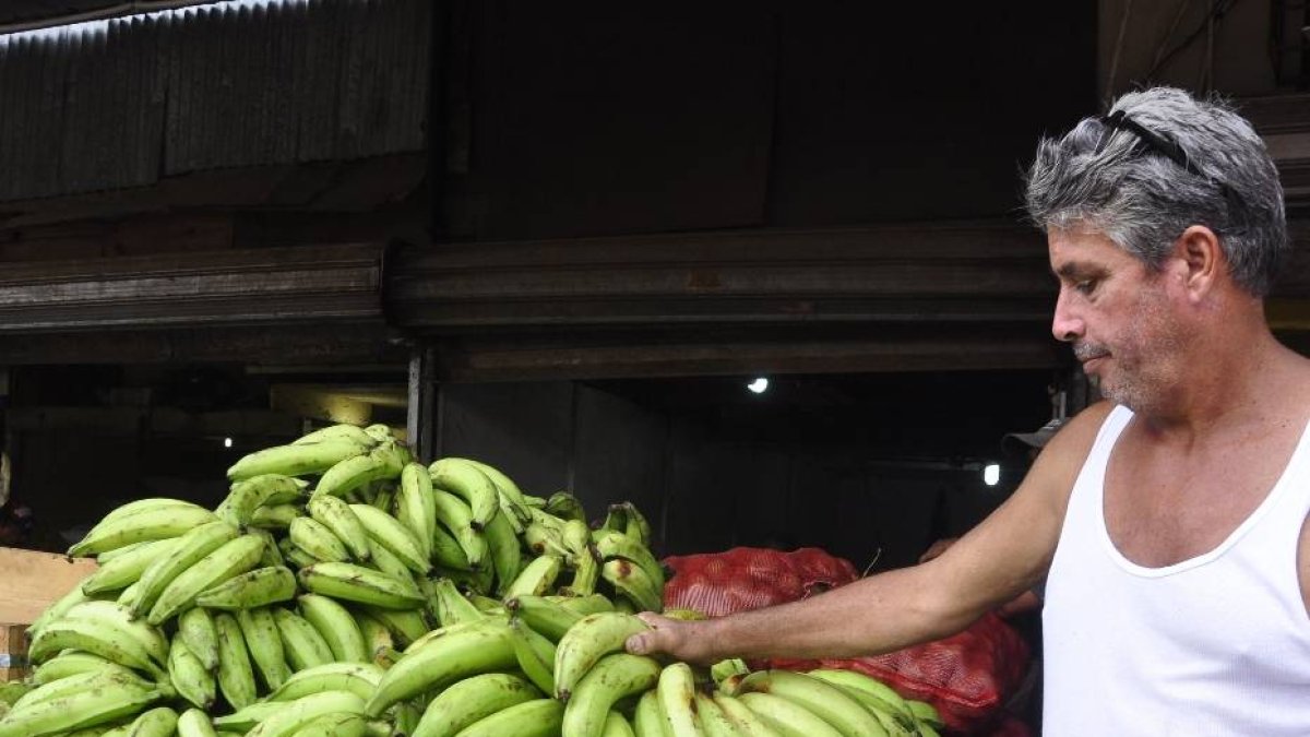 3D_Economía_22_1,p01