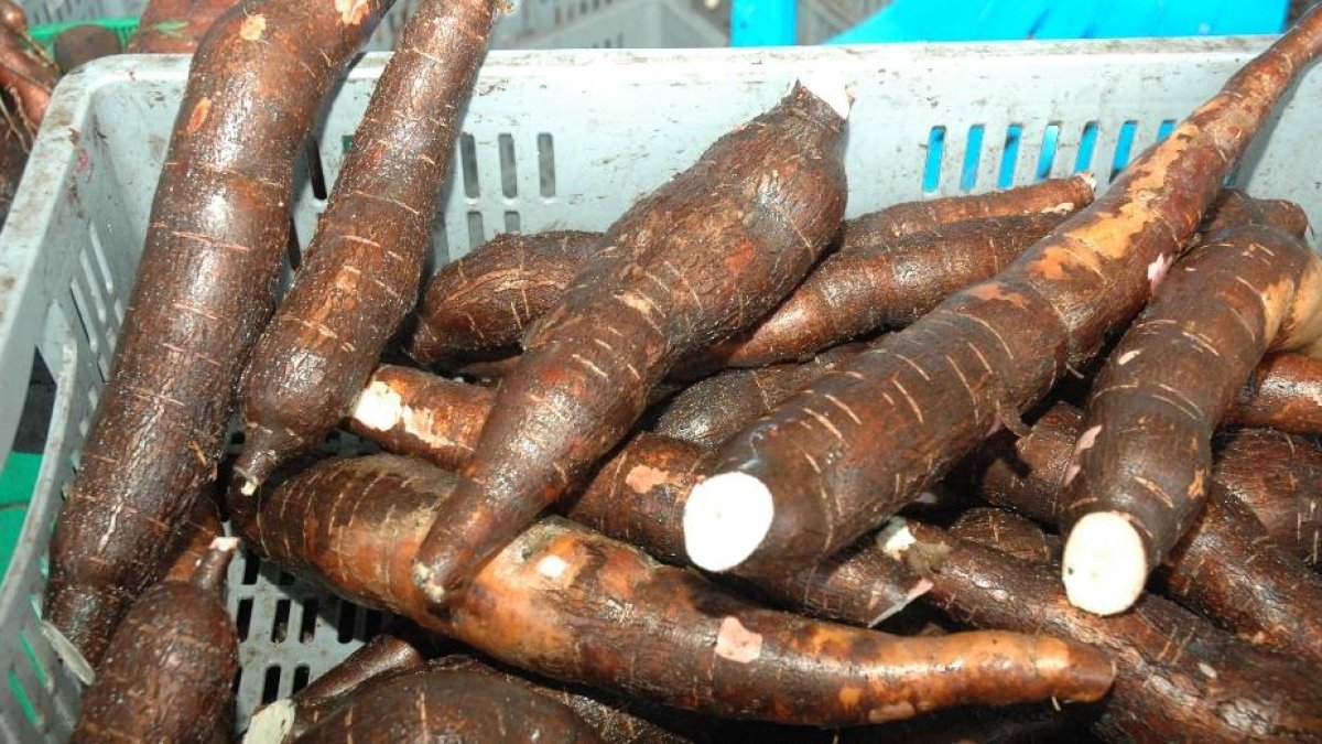 7D_El País_23_4,p01