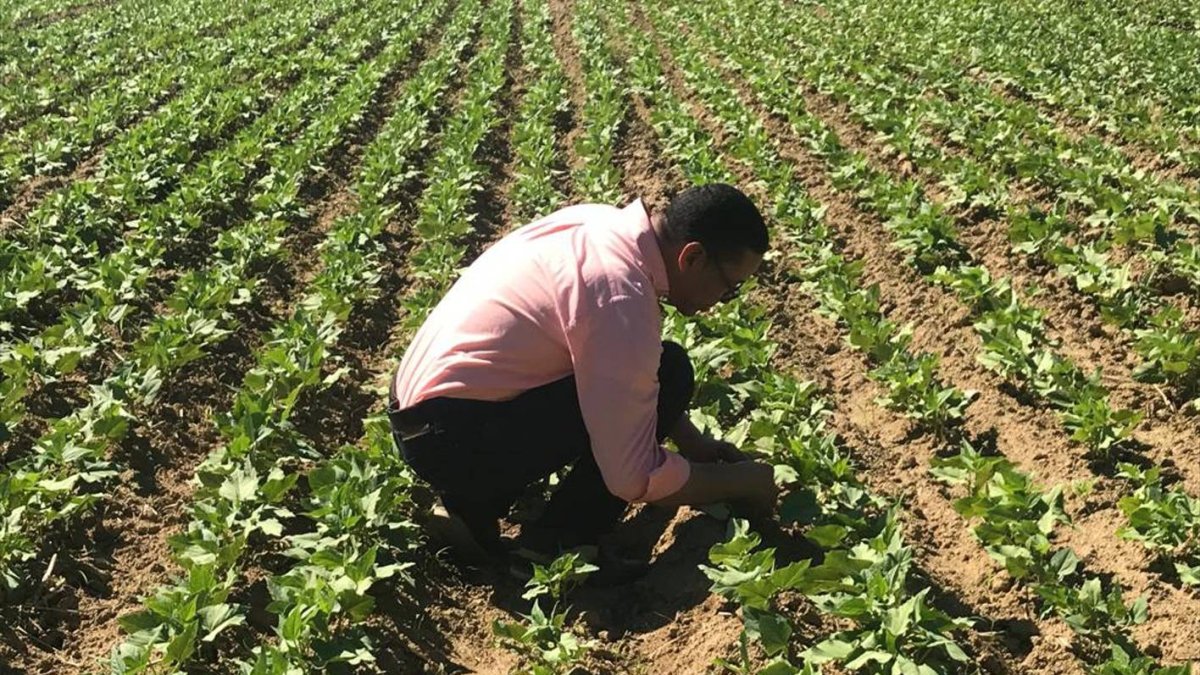 Fuente Externa 2/12/19