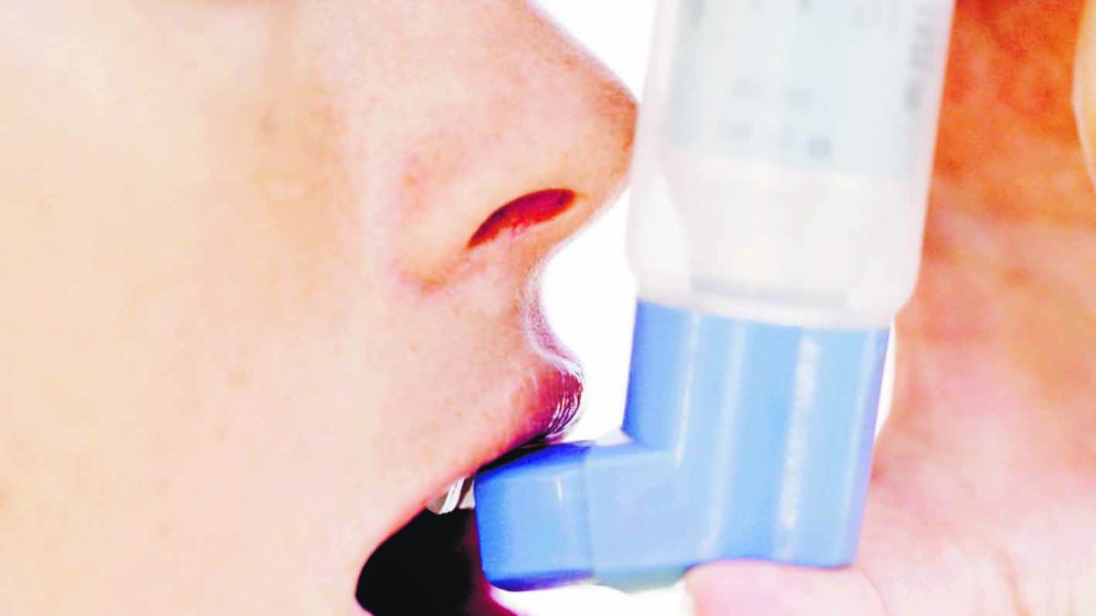 Asma. El Nacional/ Archivo.