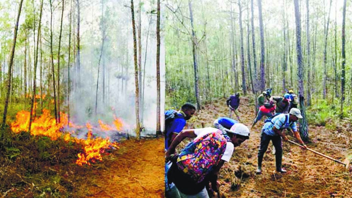 Sofocan incendio en la Sierra de Bahoruco. Hoy/Fuente Externa 20/09/20