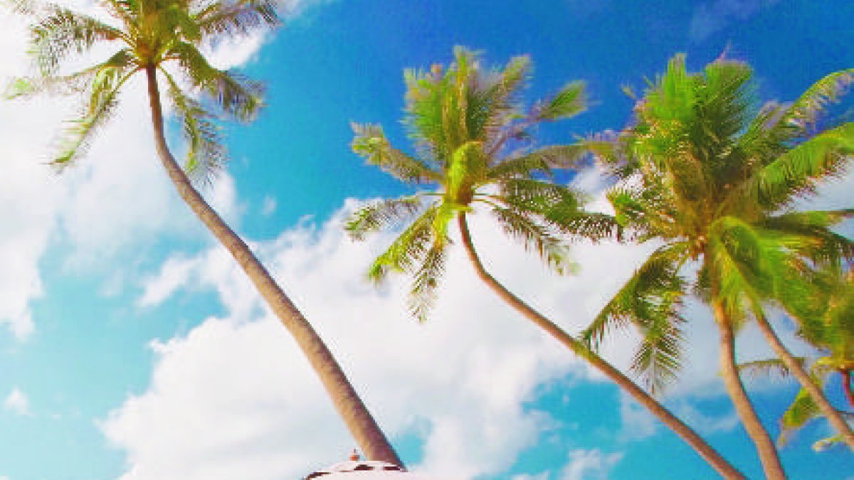 Suplemento semana santa. El sol, la playa, un tró de vainas...shutterstock