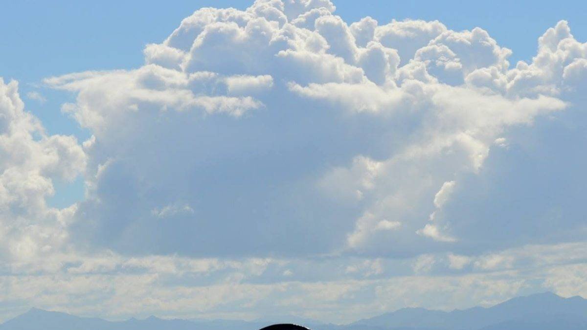 temporada-deballenas-1-3543