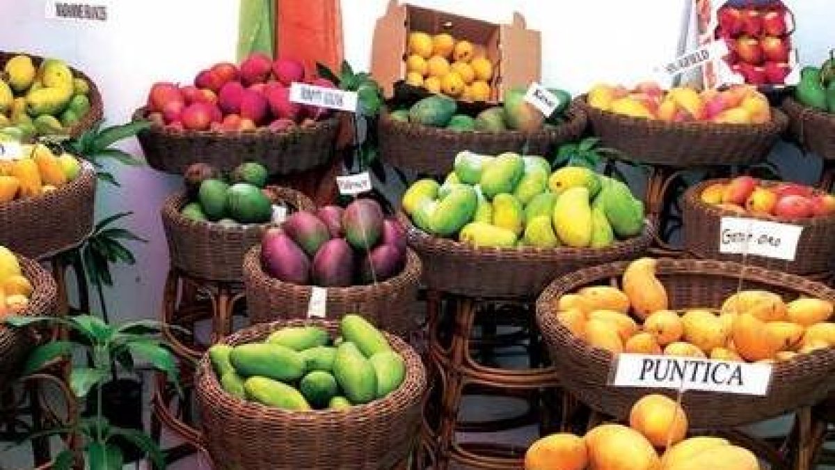 10B_Economía_8 _2,p01