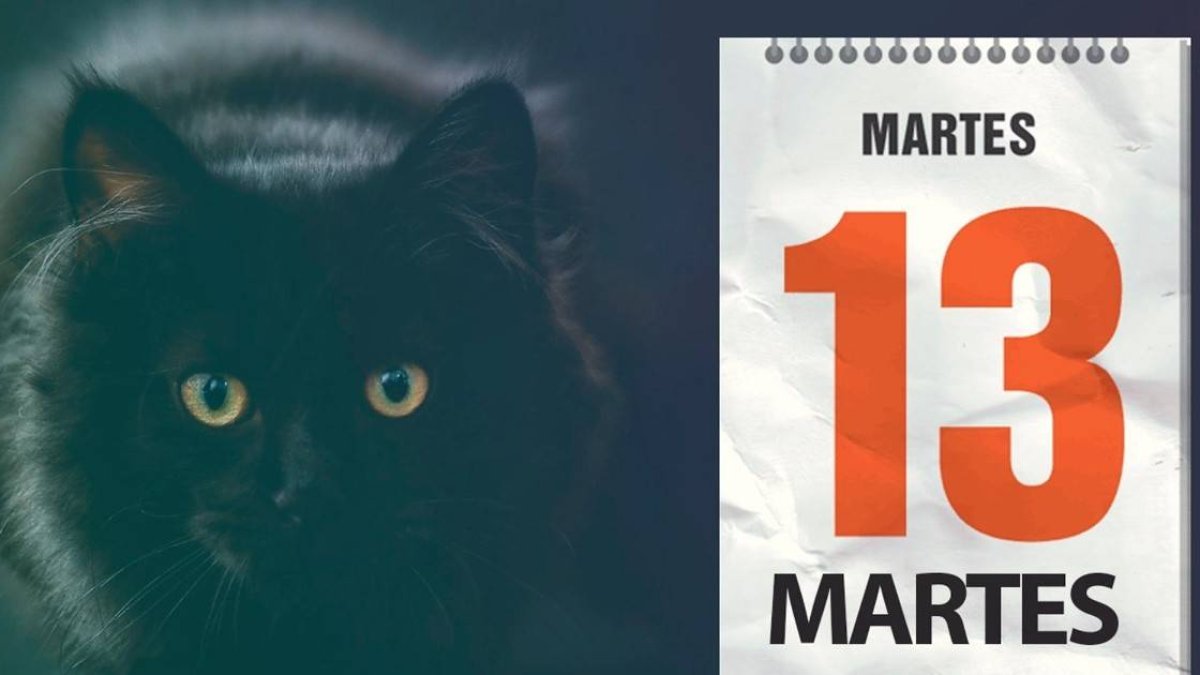 pagina_3_cabeza_1_crop1626130142534.jpg_1582661456