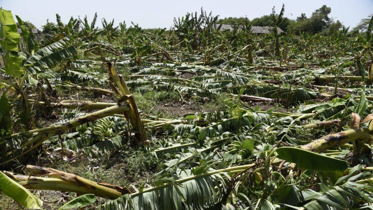 ea0a658b-2faa-442a-8504-ddcb4bcacbae